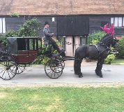 Horse and Carriage Hire in Bolton
